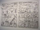 FIBD 2012